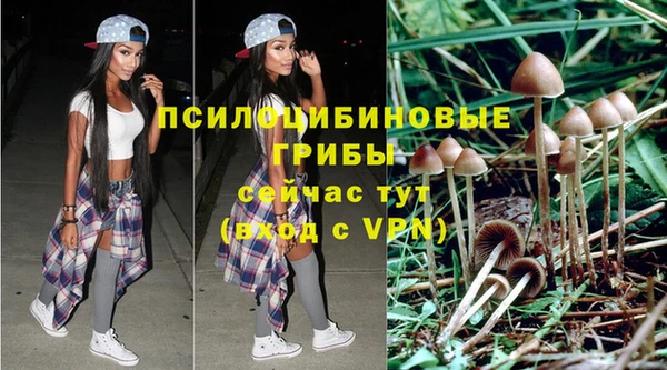 скорость Абаза