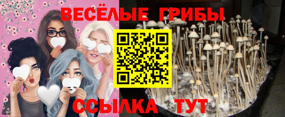 наркота  Вход с VPN  Искитим  Псилоцибиновые грибы MAGIC MUSHROOMS 